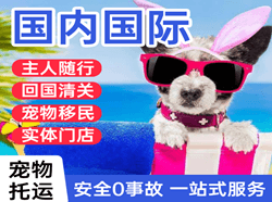 敦煌莫高航空货运国际宠物托运 【国